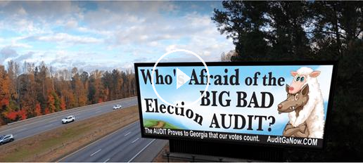 VoterGA Who's Afraid of the Big Bad Election Audit?